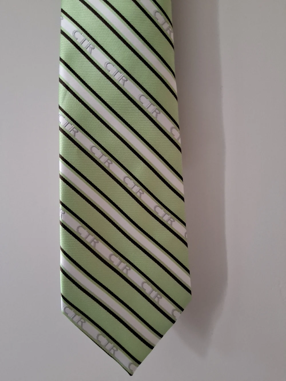 Ringmasters  Green Striped Men's Tie with Black & White Accents